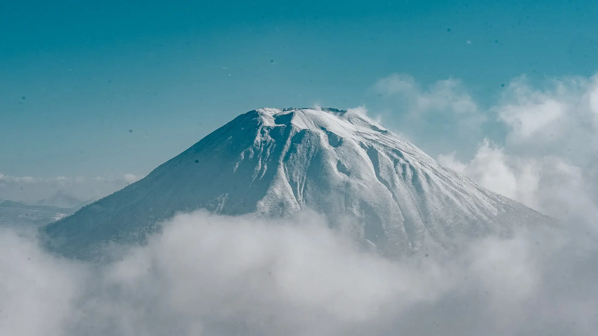Deep powder skiing through trees in Japan