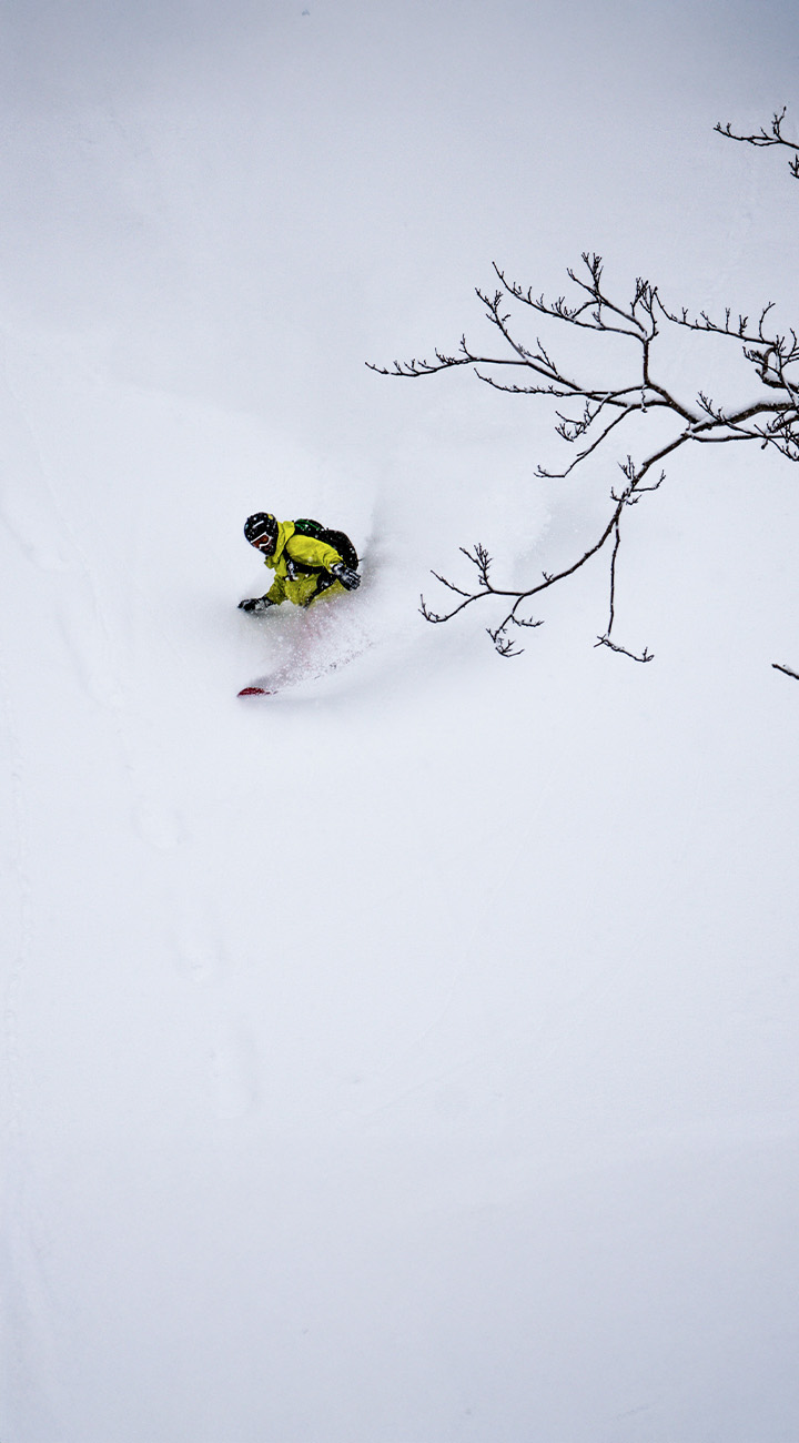 Powder skiing in Japan